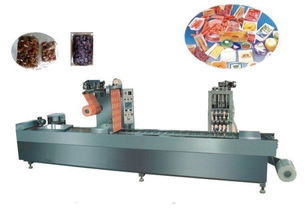 DZR 520拉伸膜真空包装机 引领休闲食品包装新高度的专业解决方案